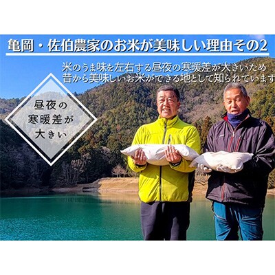 2022年11月発送開始『定期便』農家直送!毎月お届け 京都丹波 亀岡産 コシヒカリ10kg 全2回