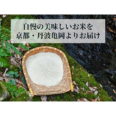 2023年1月発送開始『定期便』農家直送!京都丹波 亀岡産 源流米 コシヒカリ10kg全12回