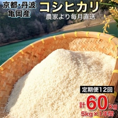 2023年5月発送開始『定期便』農家直送!京都丹波 亀岡産 源流米 コシヒカリ5kg全12回