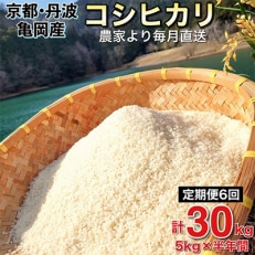 2023年5月発送開始『定期便』農家直送!京都丹波 亀岡産 源流米 コシヒカリ5kg全6回