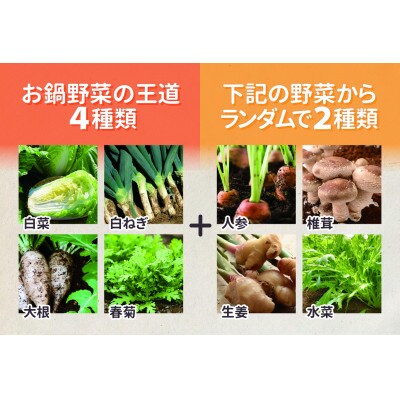お鍋専用 有機野菜セット