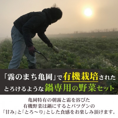 お鍋専用 有機野菜セット