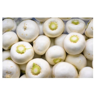PREMIUM POTAGE かぶ(聖護院かぶら)瓶(筒なし)