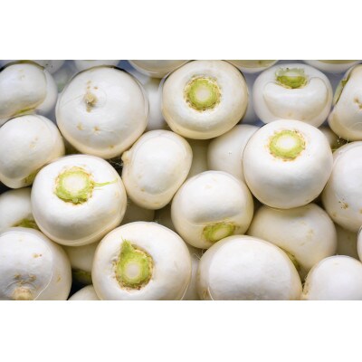 PREMIUM POTAGE かぶ(聖護院かぶら)・とうもろこし(味来)　パッケージ付き