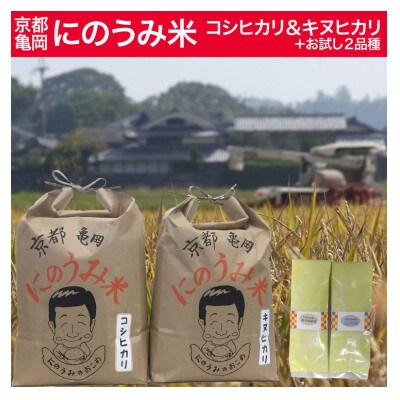 京都・亀岡産 コシヒカリ5kg キヌヒカリ5kg&お試し2品種　精米
