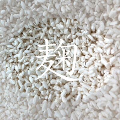 亀岡市 塩麹熟成黒毛和牛の赤ワイン煮 計1kg (250g×4P) A09JKF