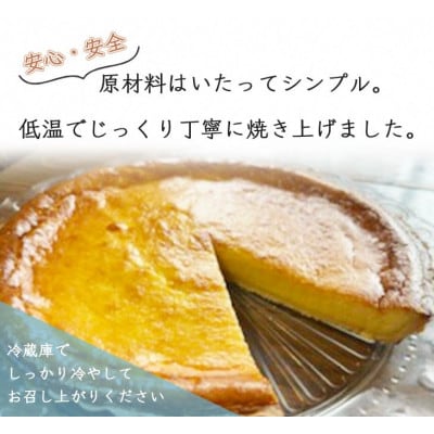 <訳あり>たっぷり21cm!! Bistro仙人掌の大きなベイクドチーズのタルト
