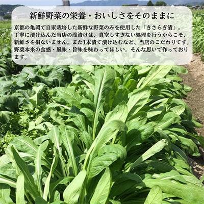 ＜京きさらぎ漬 えんけい＞季節の漬物 詰め合わせ(10～12種)