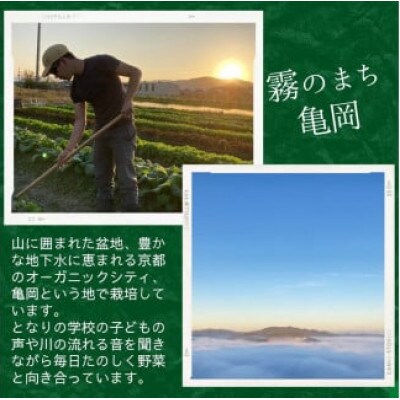 【ふるさと納税】旬の味!お野菜詰め合わせBOX8～10品(栽培期間中 農薬・化学肥料不使用)