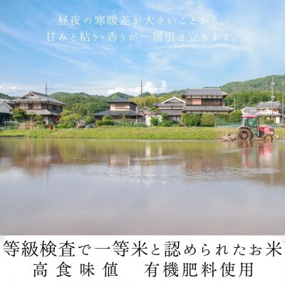 令和6年産 京都府産キヌヒカリ 玄米 5kg