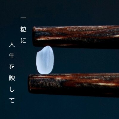 令和6年産 京都府産キヌヒカリ 玄米 5kg