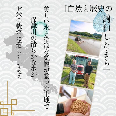 令和6年産 京都府産キヌヒカリ 玄米 5kg