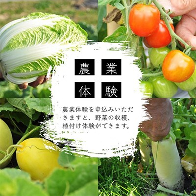 【ふるさと納税】古民家1棟貸切×ものづくり体験の宿 『霧の工坊』一泊ご宿泊券