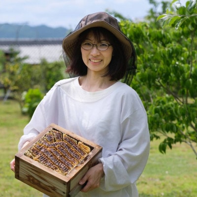 国産 ニホンミツバチ 生はちみつ 130g×3個セット 非加熱《八助 HATISUKE》
