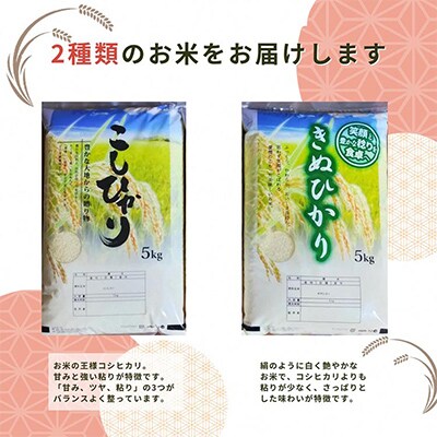 施肥技術指導員監修　京都府産コシヒカリ・キヌヒカリ　食べ比べ5kg×2品種　計10kg「亀岡育ち」
