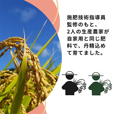 施肥技術指導員監修　京都府産コシヒカリ・キヌヒカリ　食べ比べ5kg×2品種　計10kg「亀岡育ち」