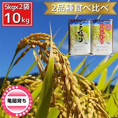 施肥技術指導員監修　京都府産コシヒカリ・ヒノヒカリ　食べ比べ5kg×2品種計10kg「亀岡育ち」