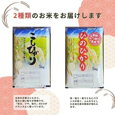 施肥技術指導員監修　京都府産コシヒカリ・ヒノヒカリ　食べ比べ5kg×2品種計10kg「亀岡育ち」