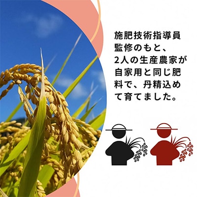 施肥技術指導員監修　京都府産コシヒカリ・ヒノヒカリ　食べ比べ5kg×2品種計10kg「亀岡育ち」