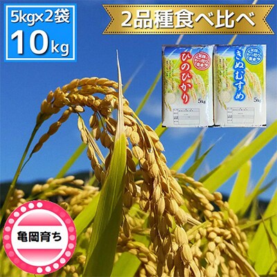施肥技術指導員監修　京都府産ヒノヒカリ・きぬむすめ　食べ比べ5kg×2品種　計10kg「亀岡育ち」