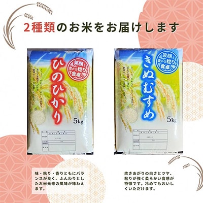施肥技術指導員監修　京都府産ヒノヒカリ・きぬむすめ　食べ比べ5kg×2品種　計10kg「亀岡育ち」