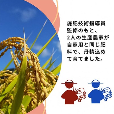 施肥技術指導員監修　京都府産ヒノヒカリ・きぬむすめ　食べ比べ5kg×2品種　計10kg「亀岡育ち」