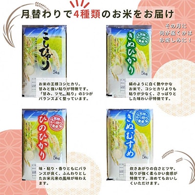 【発送月固定定期便】コシヒカリ・キヌヒカリ・ヒノヒカリ・きぬむすめ食べ比べ　「亀岡育ち」全4回