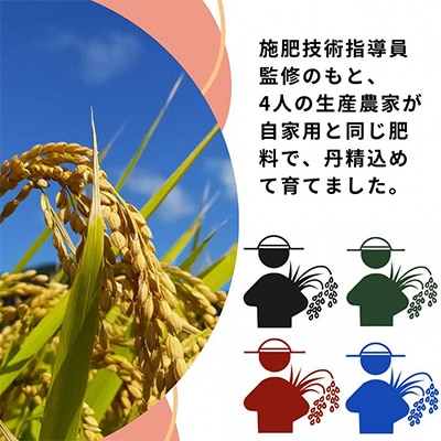 【発送月固定定期便】コシヒカリ・キヌヒカリ・ヒノヒカリ・きぬむすめ食べ比べ　「亀岡育ち」全4回