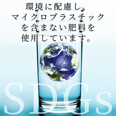 【発送月固定定期便】コシヒカリ・キヌヒカリ・ヒノヒカリ・きぬむすめ食べ比べ　「亀岡育ち」全4回