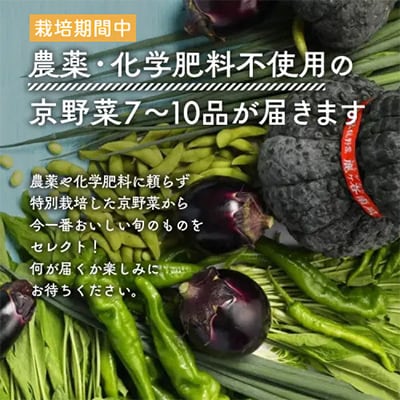 旬の京野菜セットS 有機野菜 詰め合わせ ※栽培期間中、農薬・化学肥料不使用＜アスカ有機農園＞