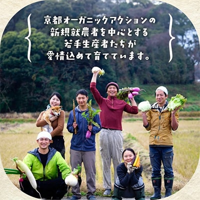 旬の京野菜セットS 有機野菜 詰め合わせ ※栽培期間中、農薬・化学肥料不使用＜アスカ有機農園＞