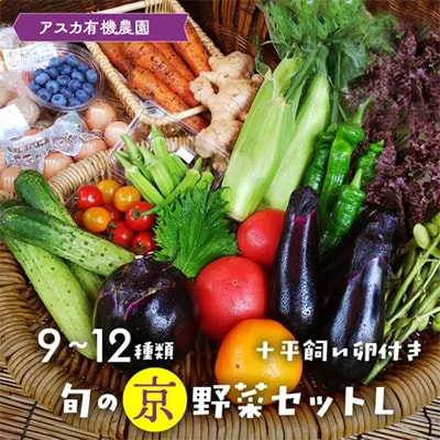 旬の京野菜セットL(平飼い卵付) 詰め合わせ※栽培期間中、農薬・化学肥料不使用＜アスカ有機農園＞
