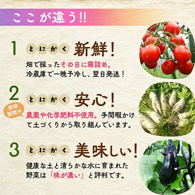 旬の京野菜セットL(平飼い卵付) 詰め合わせ※栽培期間中、農薬・化学肥料不使用＜アスカ有機農園＞