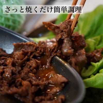 【A5,A4】京都産黒毛和牛 タレ漬け こま切れ 600g(300g×2)<焼肉専門店 平壌亭>