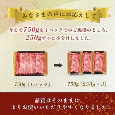 【A4,A5】京都産黒毛和牛 肩ロース スライス 750g 小分け 冷凍<焼肉専門店 平壌亭>