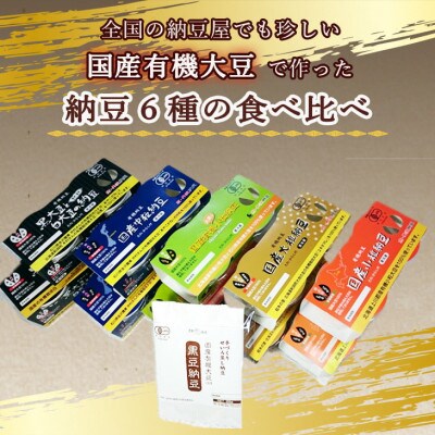 【毎月定期便】京・丹波納豆 国産有機納豆 全6種類(納豆40g×20個 納豆88g×1)全6回