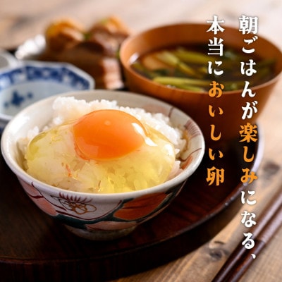 【毎月定期便】新鮮 卵 京都丹波『霧の卵』120個(100個+割れ保証20個)全3回