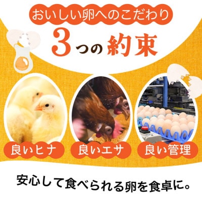 【毎月定期便】新鮮 卵 京都丹波『霧の卵』120個(100個+割れ保証20個)全6回