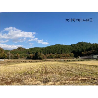 いぬかんの　コシヒカリ　3kg