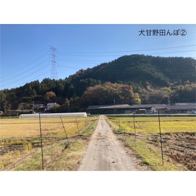 いぬかんの　コシヒカリ　3kg