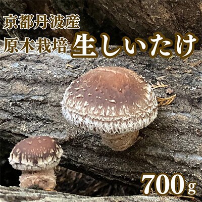 【原木】生しいたけ