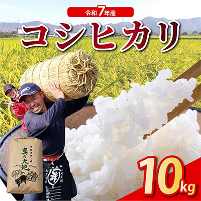 【令和7年産】産地直送 京都丹波産コシヒカリ 10kg 精米したてのお米をお届け