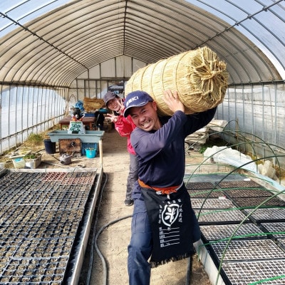 【令和7年産】産地直送 京都丹波産コシヒカリ 10kg 精米したてのお米をお届け