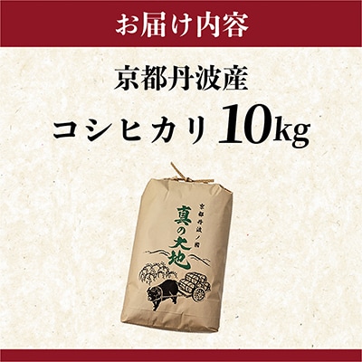 【令和7年産】産地直送 京都丹波産コシヒカリ 10kg 精米したてのお米をお届け