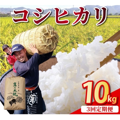 【毎月定期便】農家直送 京都丹波産 コシヒカリ 精米 10kg(10kg×1袋)全3回
