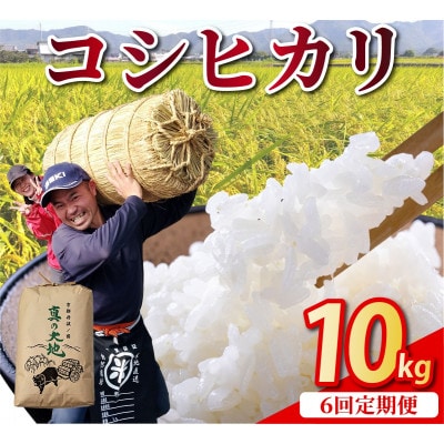 【毎月定期便】農家直送 京都丹波産 コシヒカリ 精米 10kg(10kg×1袋)全6回