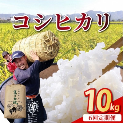 【毎月定期便】農家直送 京都丹波産 コシヒカリ 精米 10kg(10kg×1袋)全6回