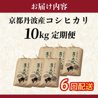 【毎月定期便】農家直送 京都丹波産 コシヒカリ 精米 10kg(10kg×1袋)全6回