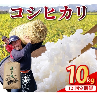 【毎月定期便】農家直送 京都丹波産 コシヒカリ 精米 10kg(10kg×1袋)全12回