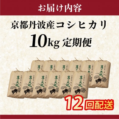 【毎月定期便】農家直送 京都丹波産 コシヒカリ 精米 10kg(10kg×1袋)全12回
